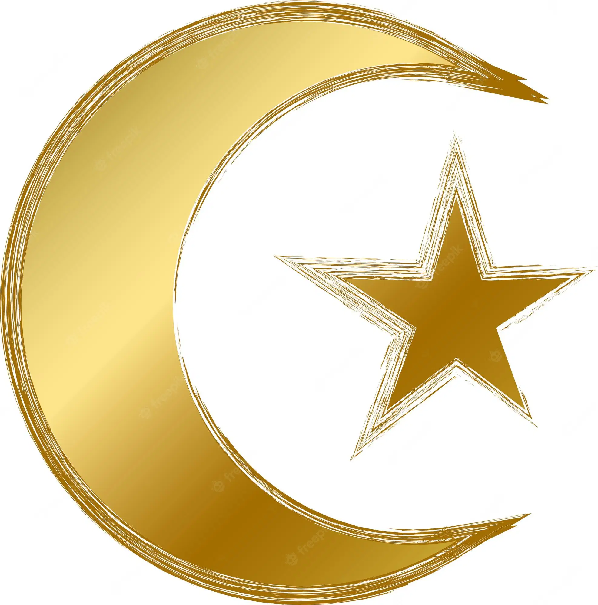Media Image