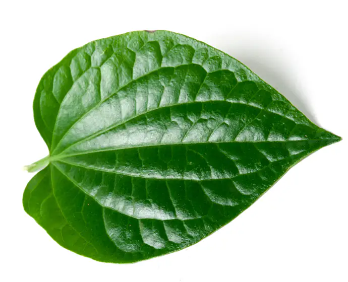 Media Image