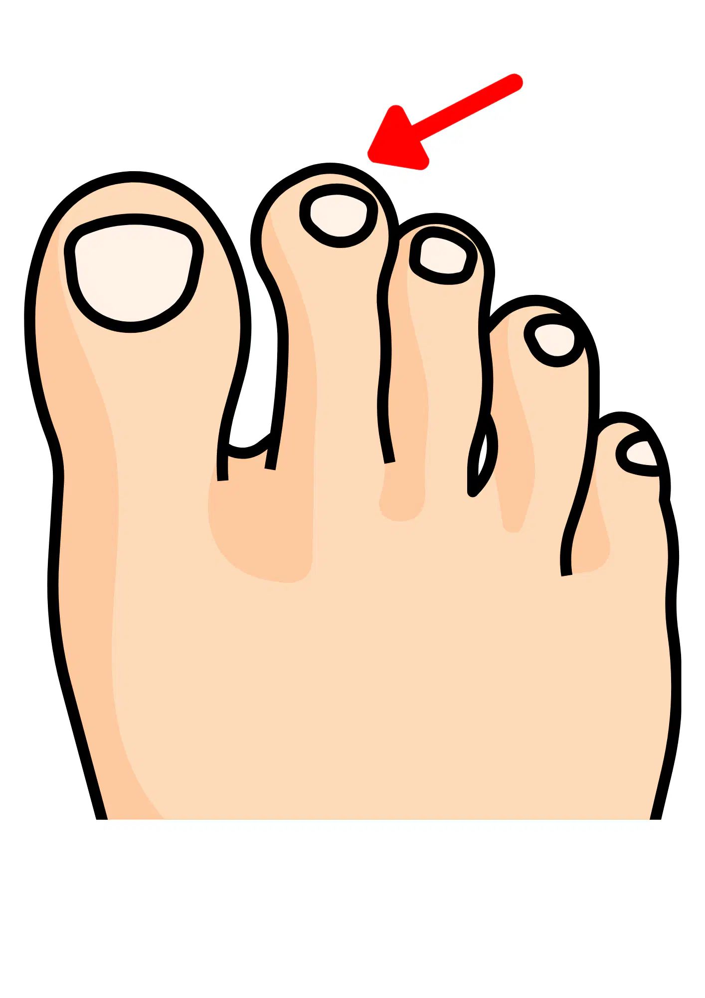 Media Image