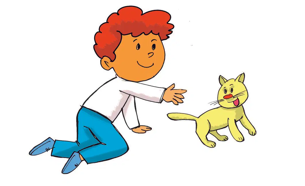 Media Image