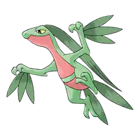 Media Image