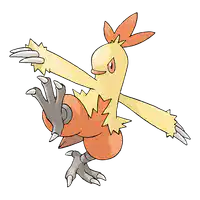 Media Image