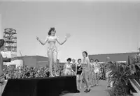 Media Image
