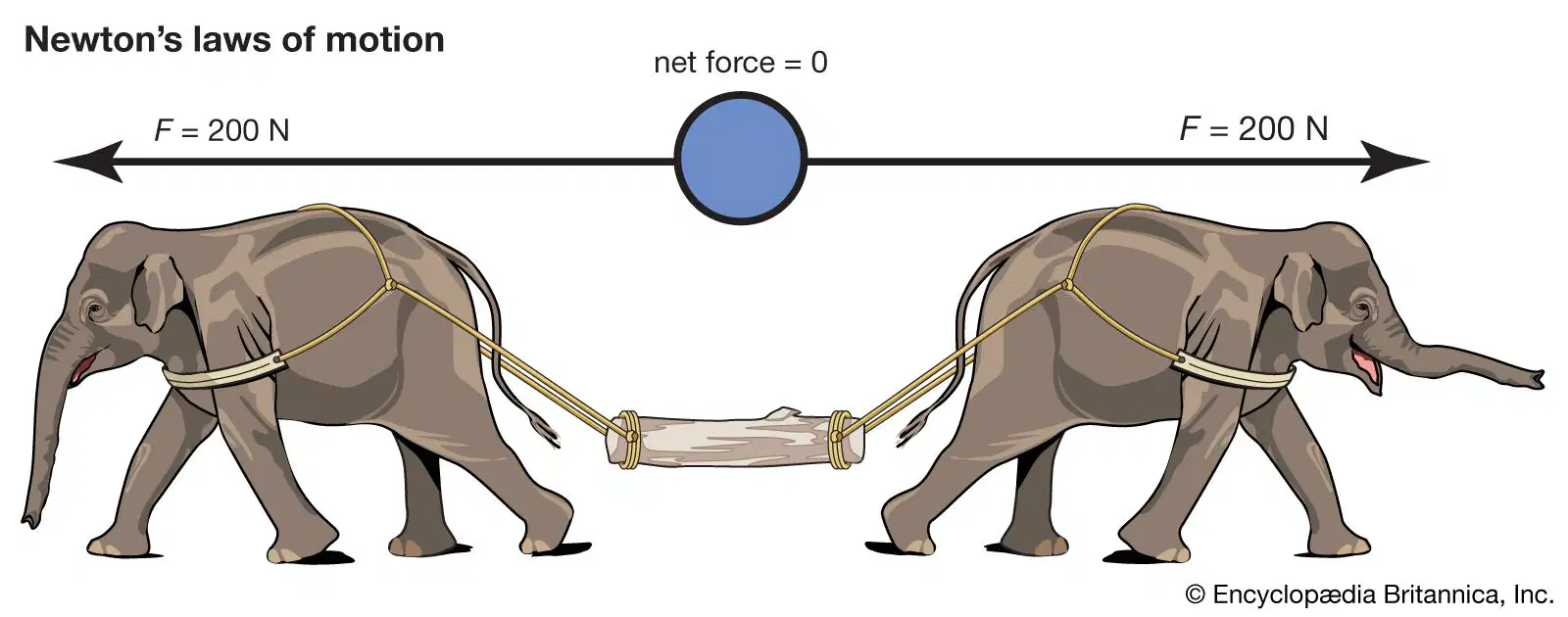Newton's Laws of Motion
