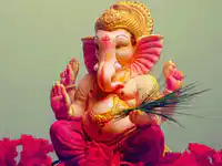 Media Image