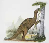 Media Image