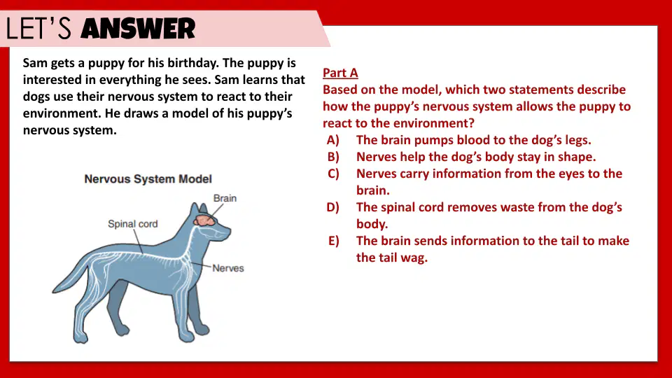 Question image