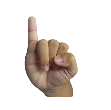 Media Image