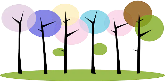 media image