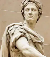 Media Image