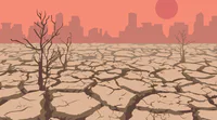 media