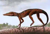 Media Image