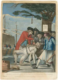 Media Image