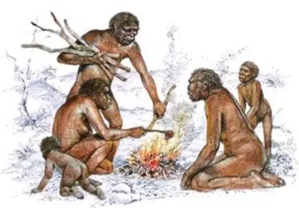 Media Image