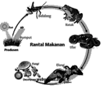 Media Image