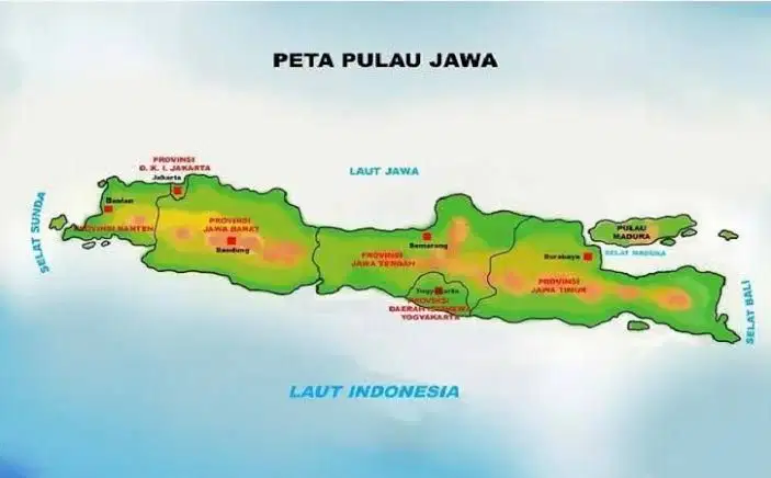 Media Image