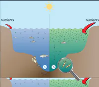 Media Image
