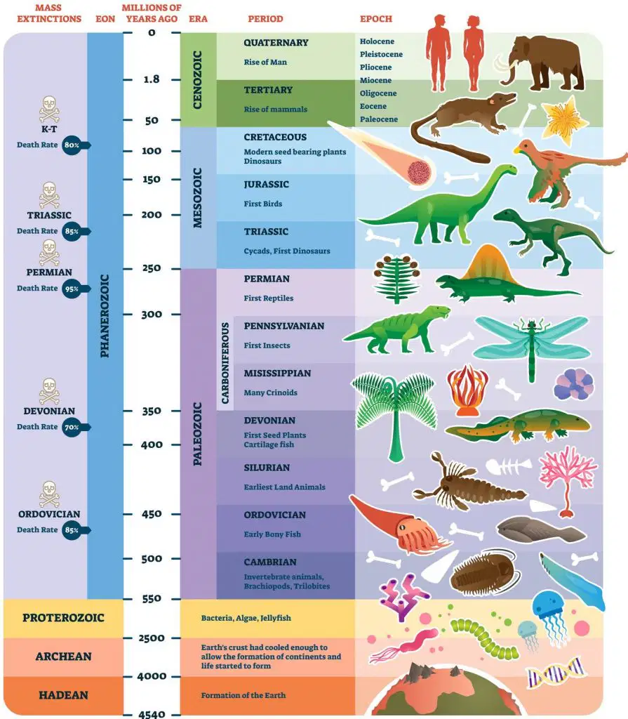 Geologic Time Scale Intro