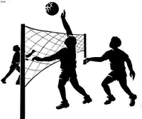 Media Image