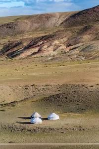 Media Image