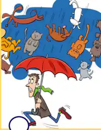Media Image