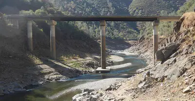 media