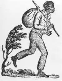 Media Image