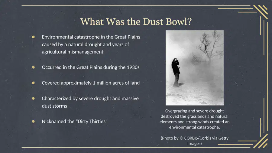 media