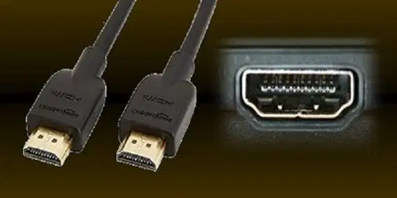 Media Image