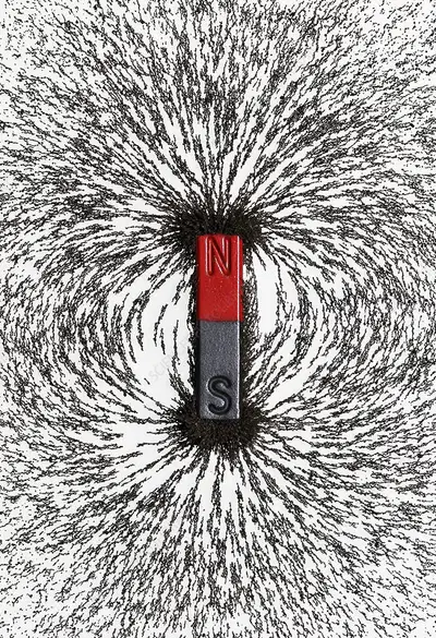 media
