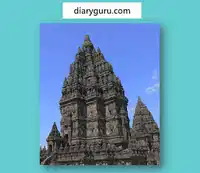 Media Image