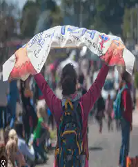 media