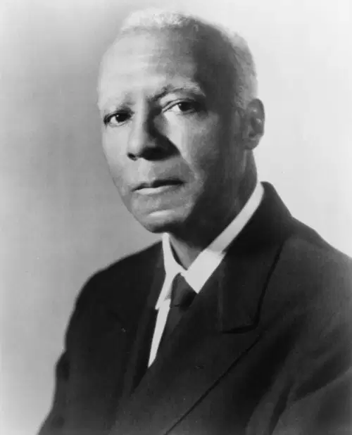 Media Image