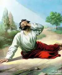 Media Image
