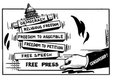 media