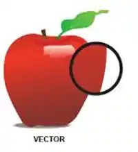 Media Image