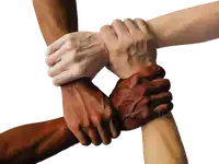 Media Image
