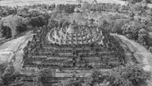 Media Image