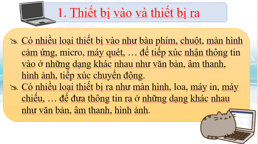 media