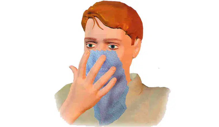 Media Image
