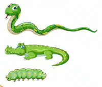 Media Image