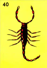 Media Image