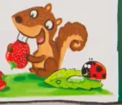Media Image