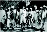 Media Image