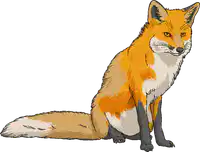 Media Image