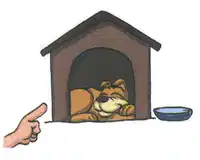 Media Image