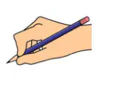 Media Image