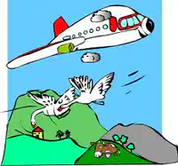 Media Image
