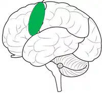 Media Image