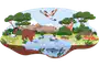 media